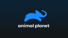 Animal Planet