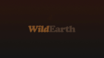 WildEarth